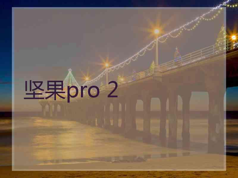 坚果pro 2