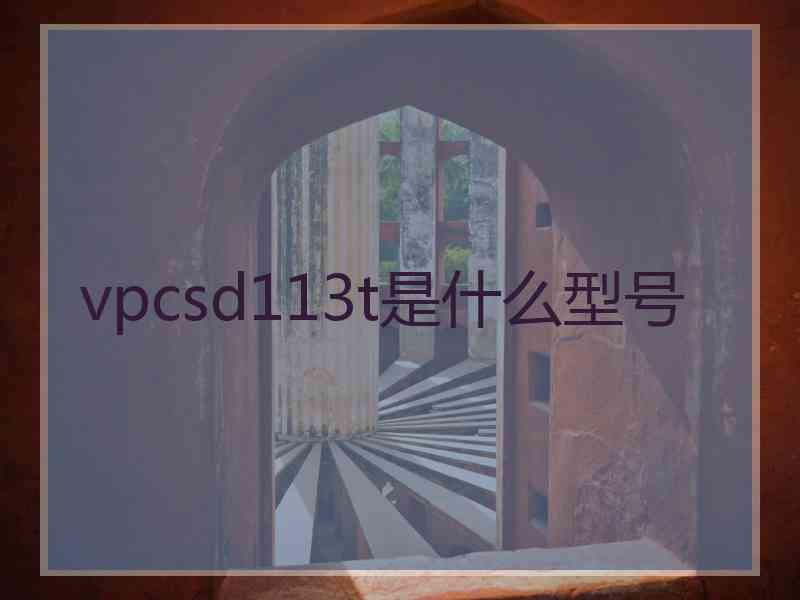 vpcsd113t是什么型号