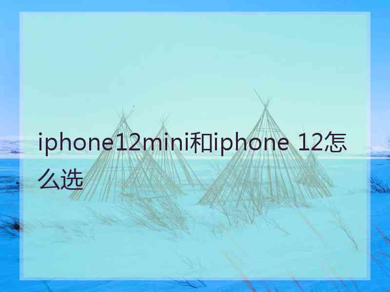 iphone12mini和iphone 12怎么选