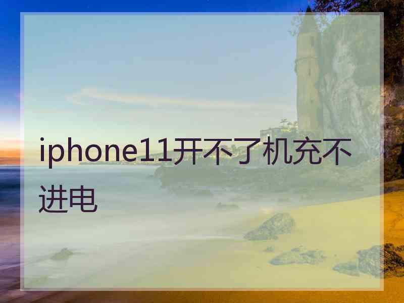 iphone11开不了机充不进电