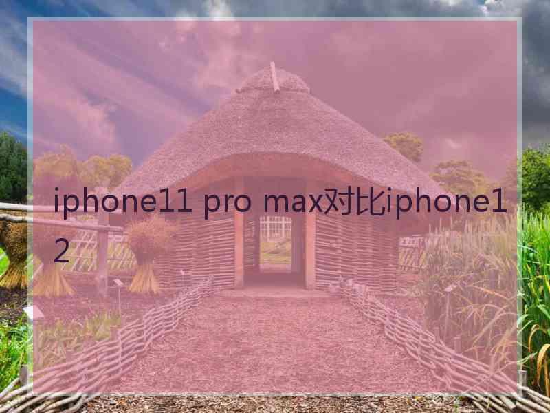 iphone11 pro max对比iphone12