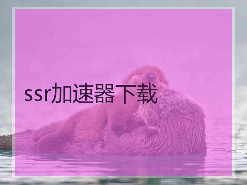 ssr加速器下载