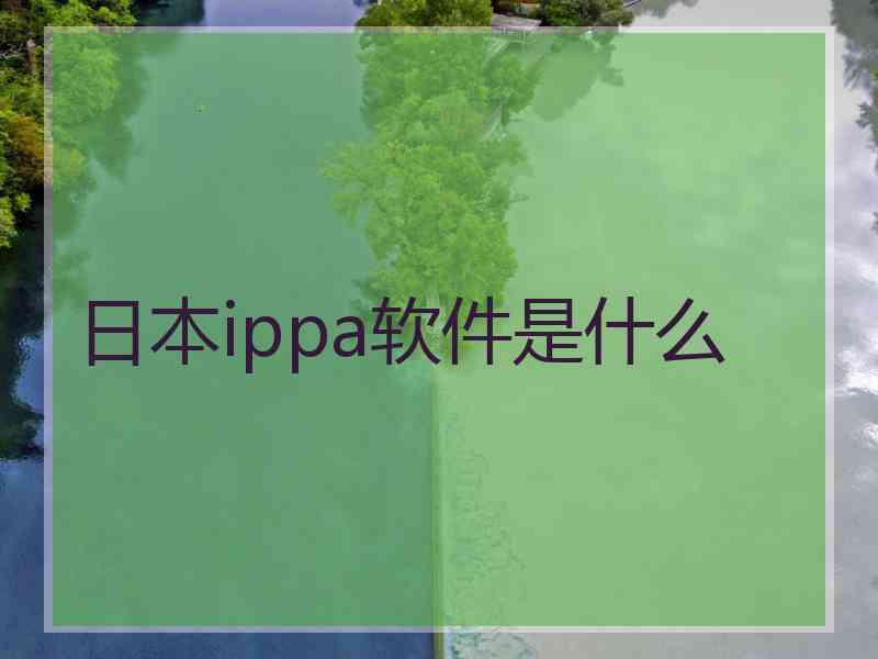 日本ippa软件是什么