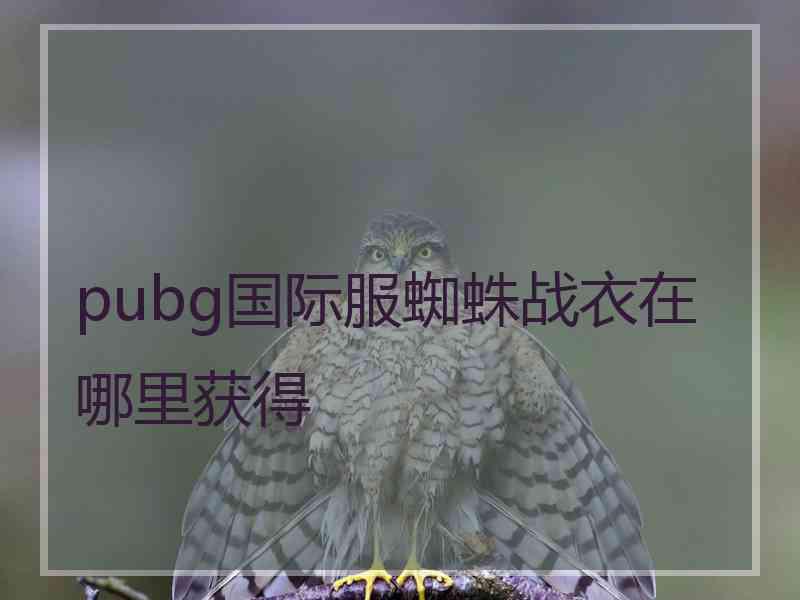 pubg国际服蜘蛛战衣在哪里获得