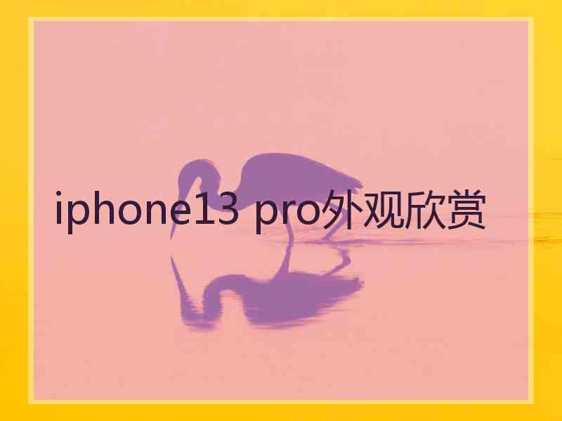 iphone13 pro外观欣赏