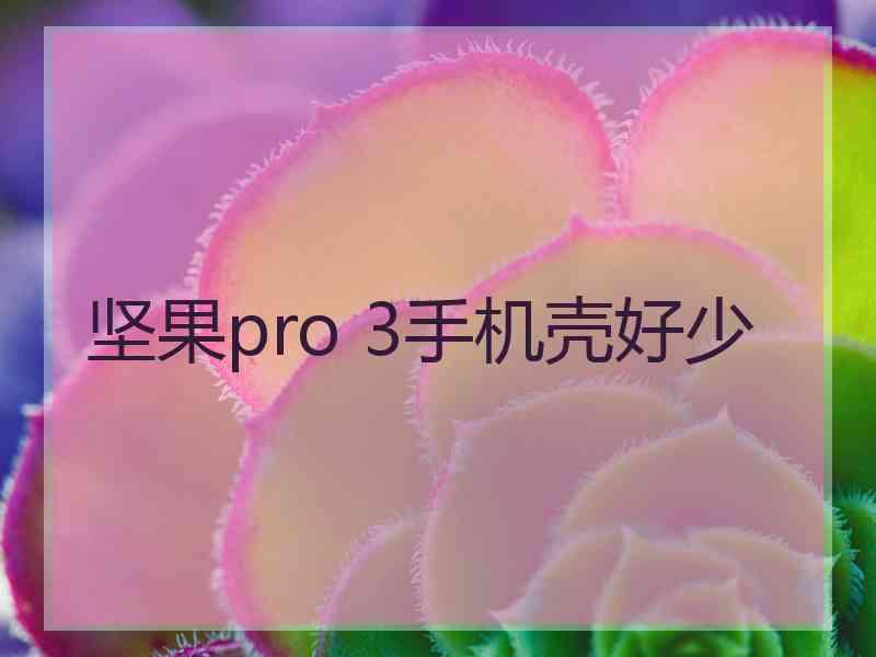 坚果pro 3手机壳好少