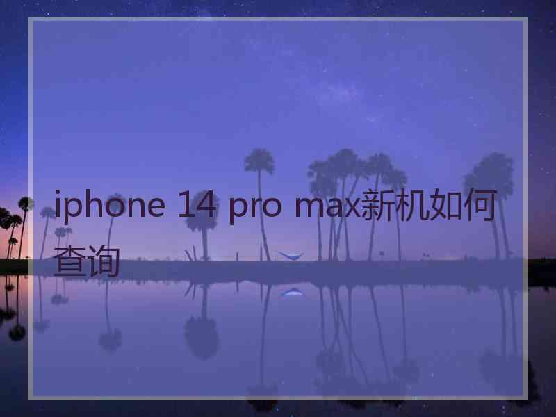 iphone 14 pro max新机如何查询