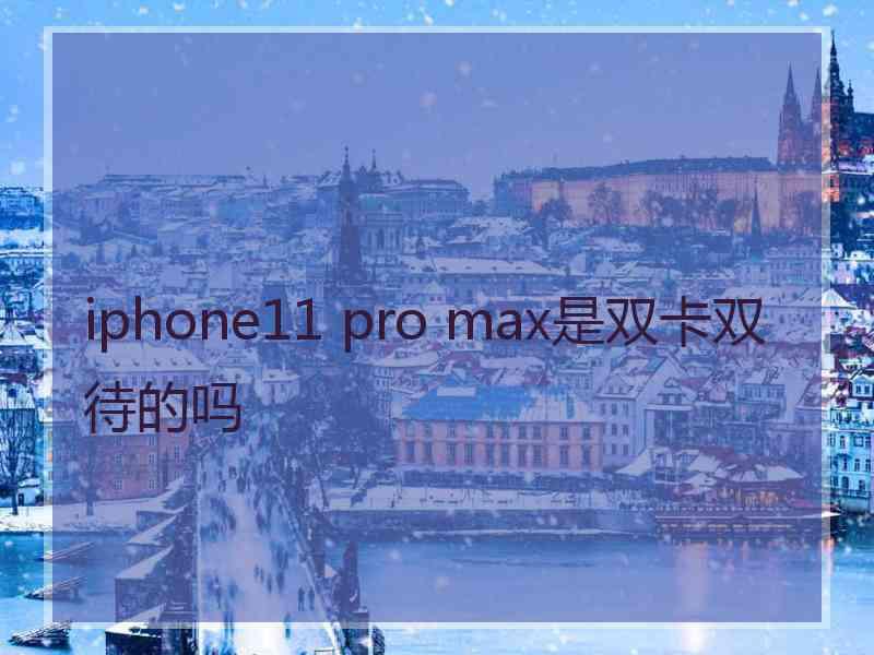 iphone11 pro max是双卡双待的吗