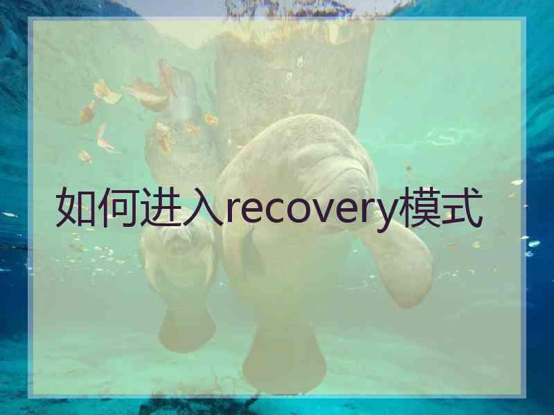 如何进入recovery模式