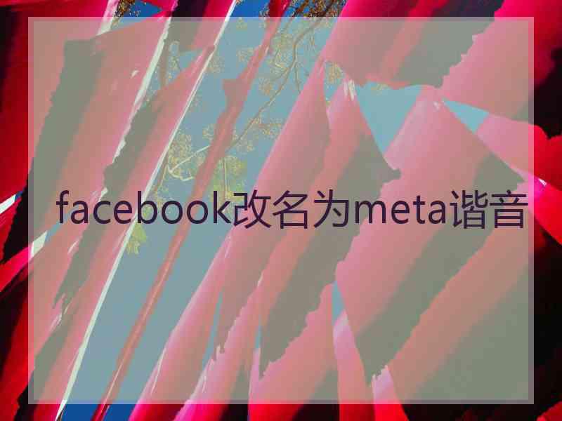 facebook改名为meta谐音