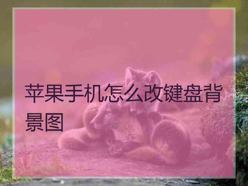 苹果手机怎么改键盘背景图