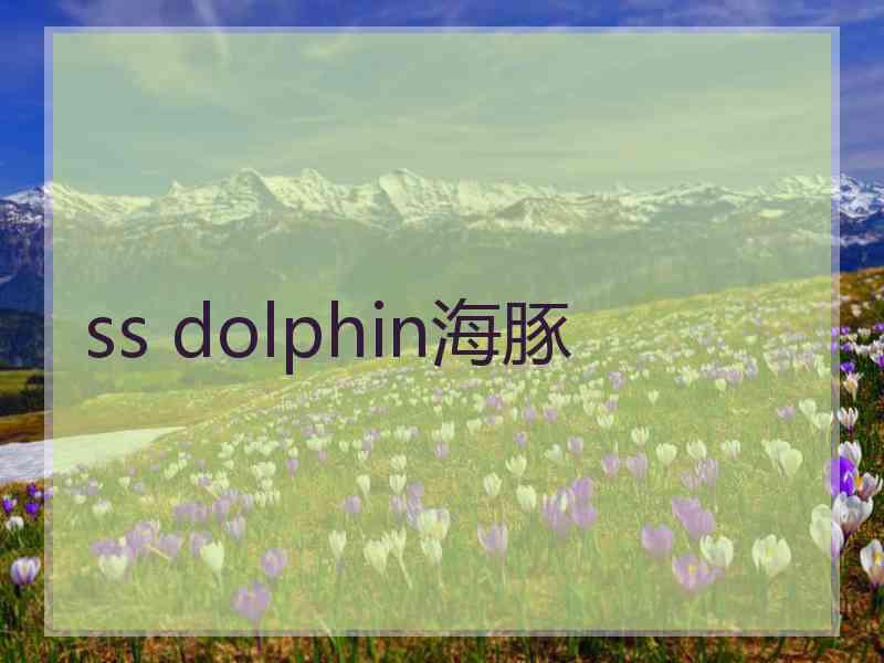 ss dolphin海豚