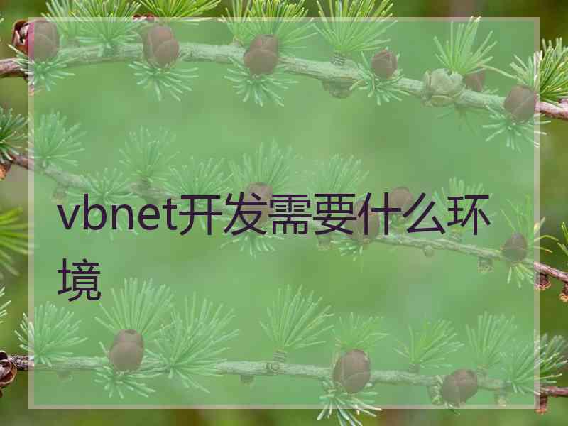 vbnet开发需要什么环境