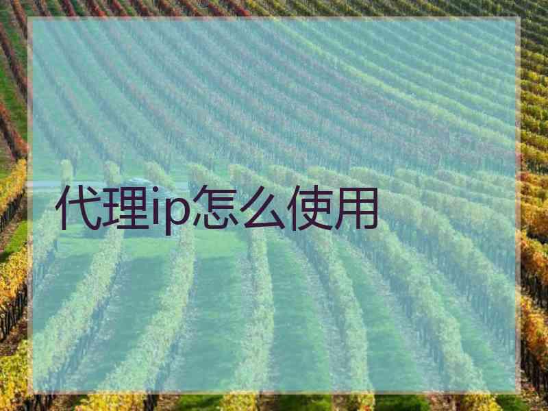 代理ip怎么使用