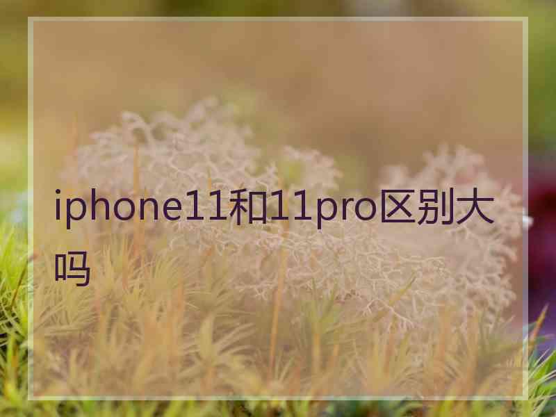 iphone11和11pro区别大吗