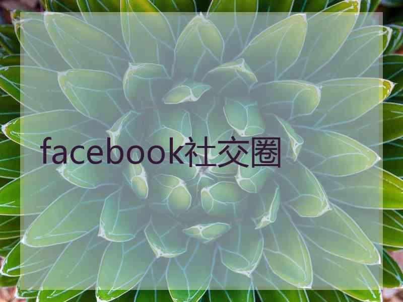 facebook社交圈