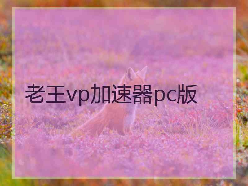 老王vp加速器pc版