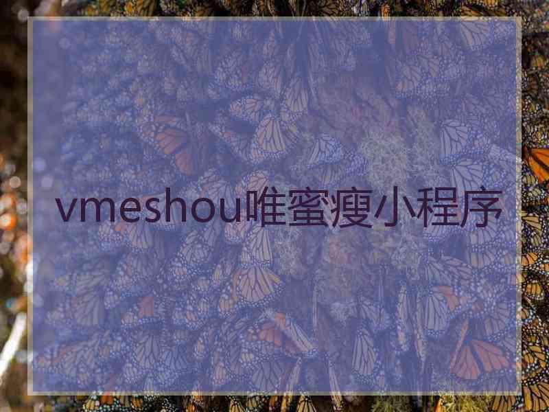 vmeshou唯蜜瘦小程序