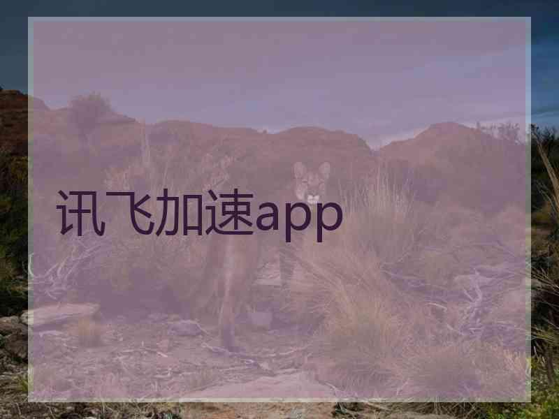 讯飞加速app