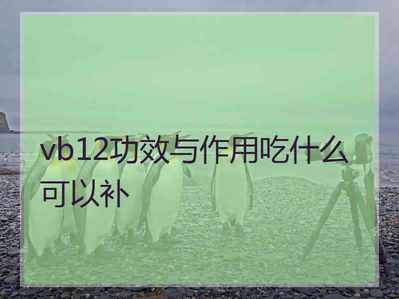 vb12功效与作用吃什么可以补