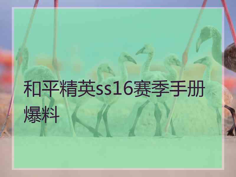 和平精英ss16赛季手册爆料