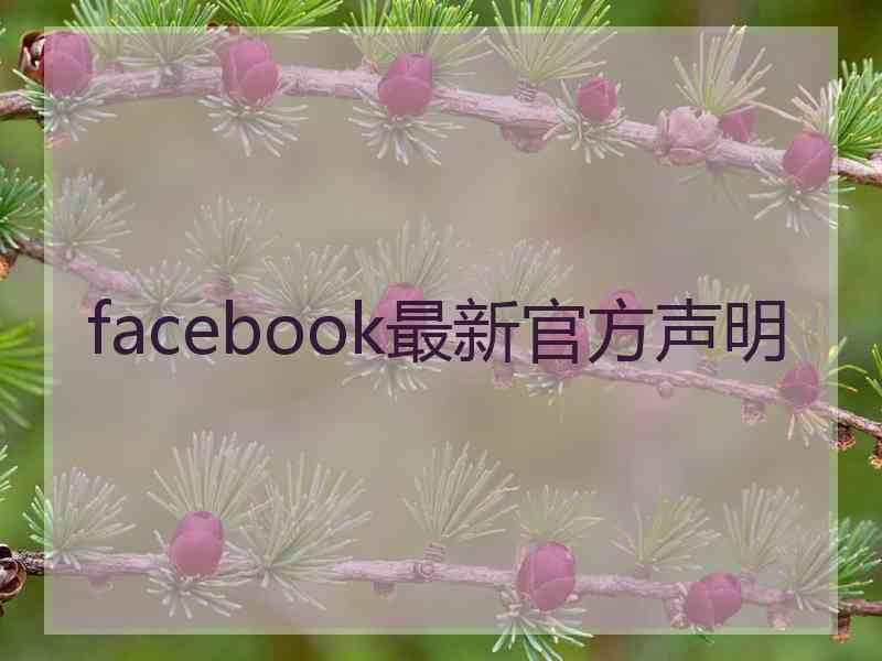 facebook最新官方声明