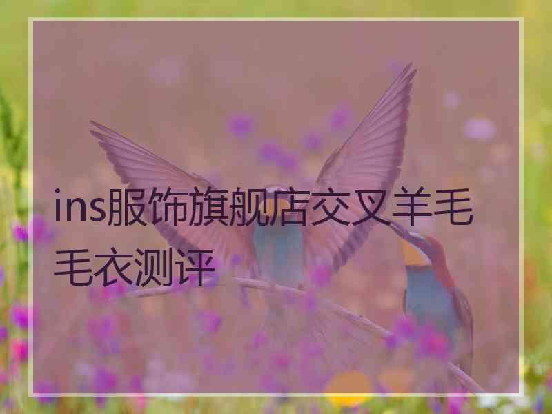 ins服饰旗舰店交叉羊毛毛衣测评