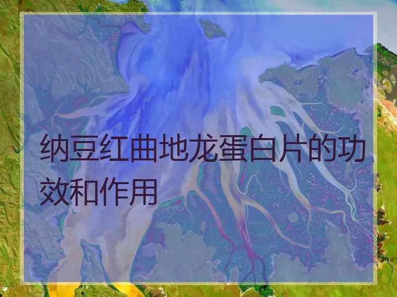 纳豆红曲地龙蛋白片的功效和作用