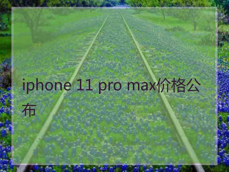 iphone 11 pro max价格公布