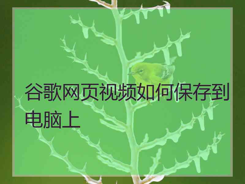 谷歌网页视频如何保存到电脑上