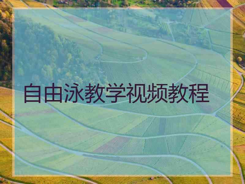 自由泳教学视频教程