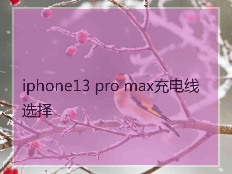 iphone13 pro max充电线选择