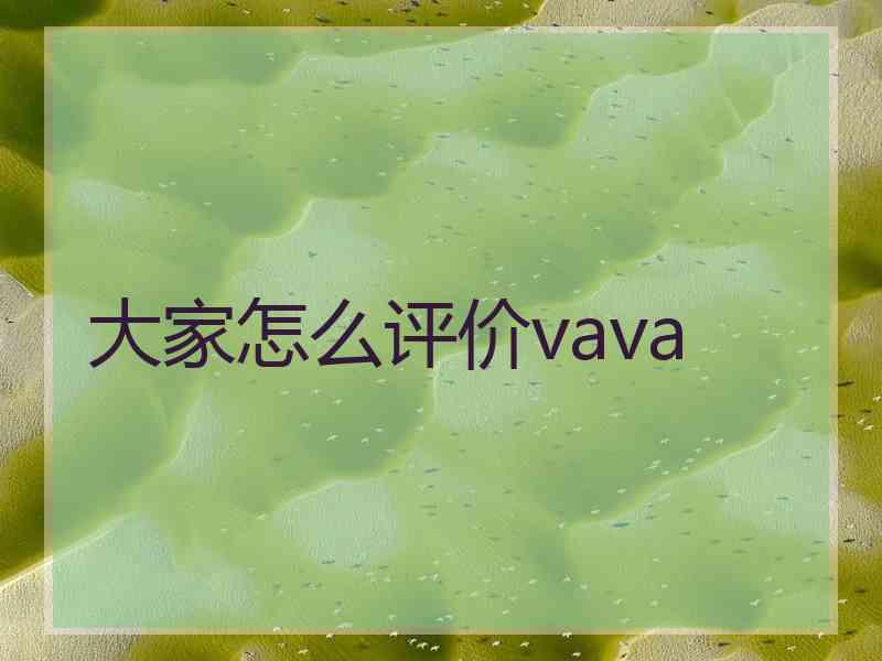 大家怎么评价vava