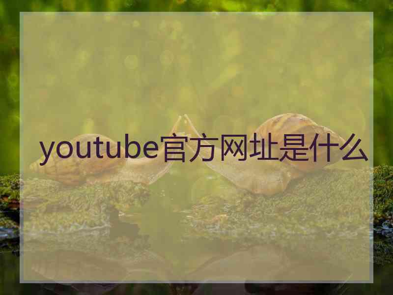 youtube官方网址是什么