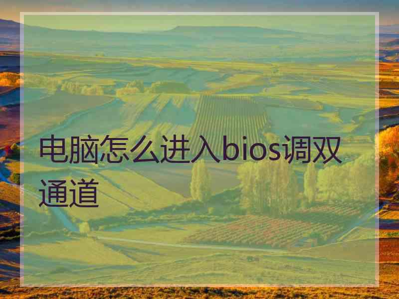 电脑怎么进入bios调双通道