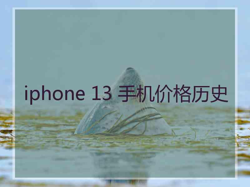 iphone 13 手机价格历史