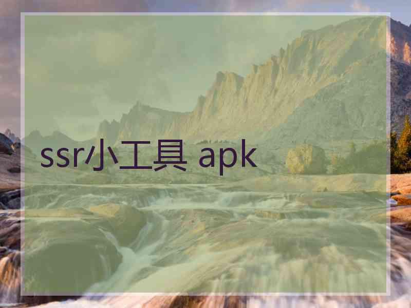 ssr小工具 apk