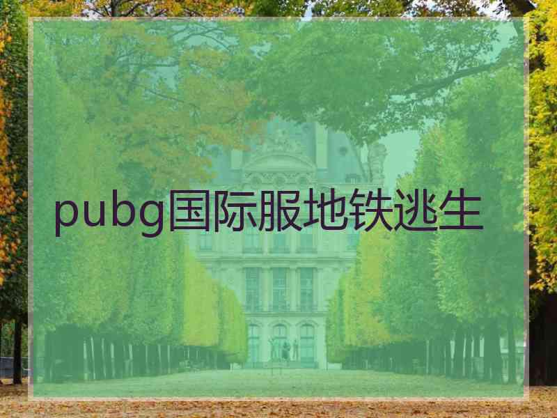 pubg国际服地铁逃生