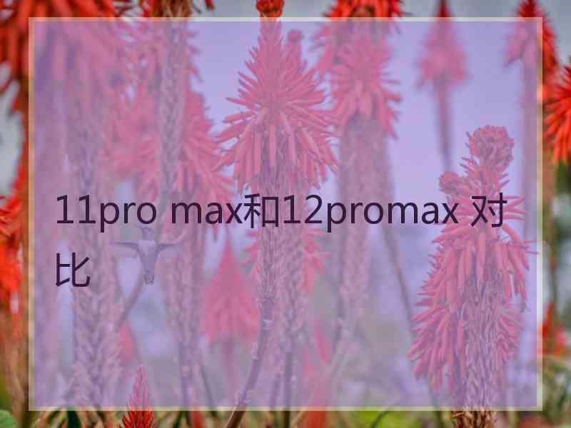 11pro max和12promax 对比