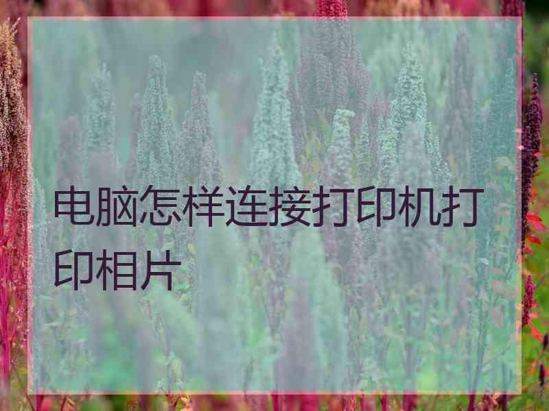 电脑怎样连接打印机打印相片