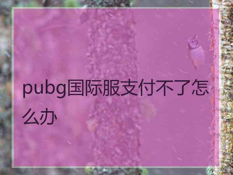 pubg国际服支付不了怎么办