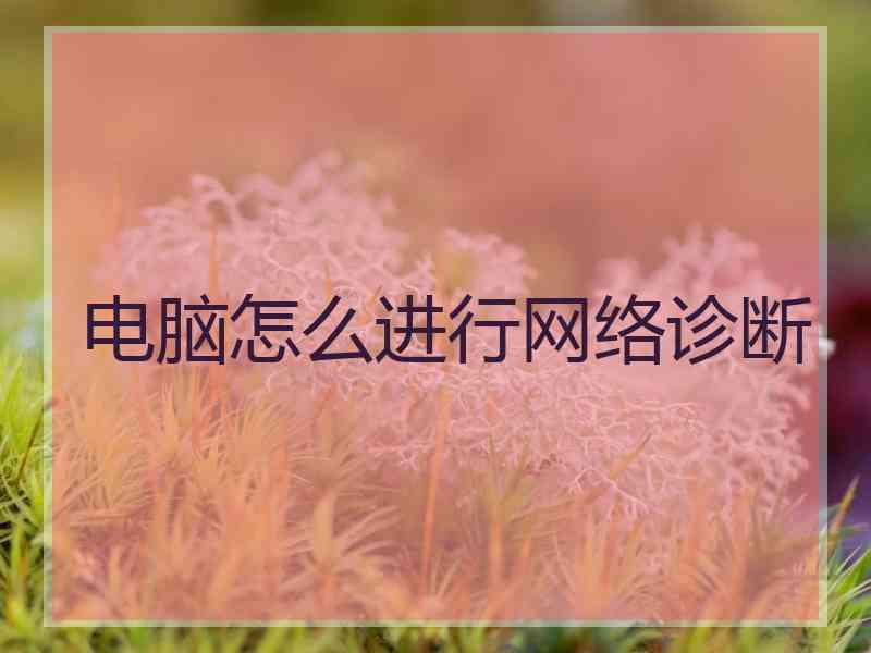 电脑怎么进行网络诊断