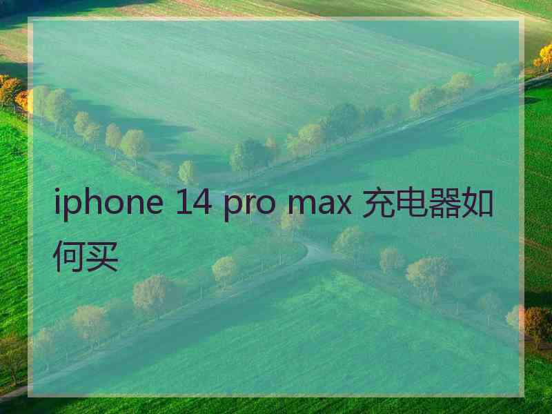 iphone 14 pro max 充电器如何买