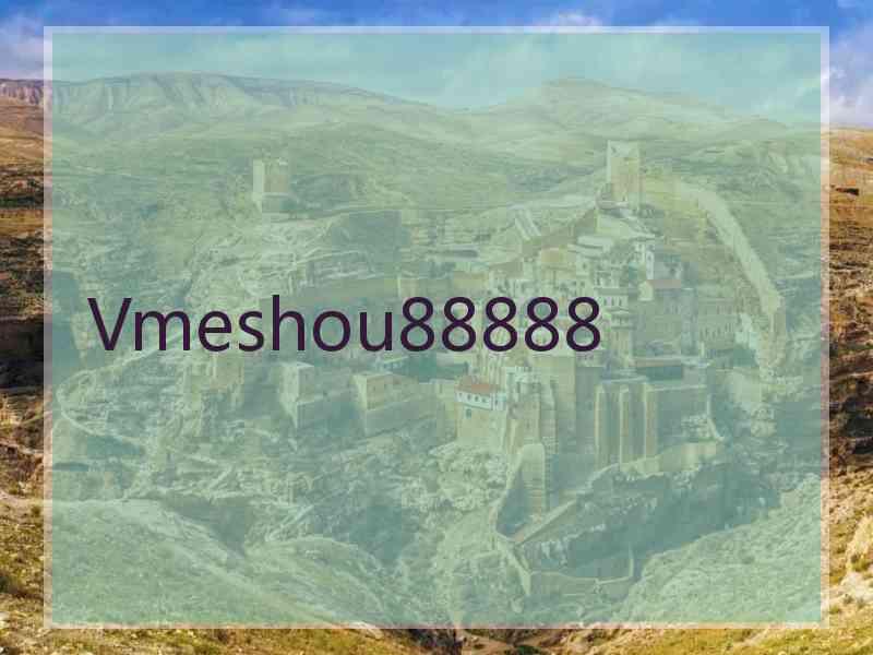 Vmeshou88888