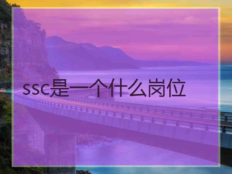 ssc是一个什么岗位