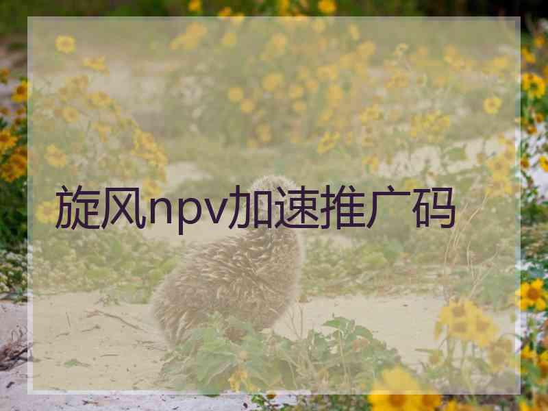 旋风npv加速推广码