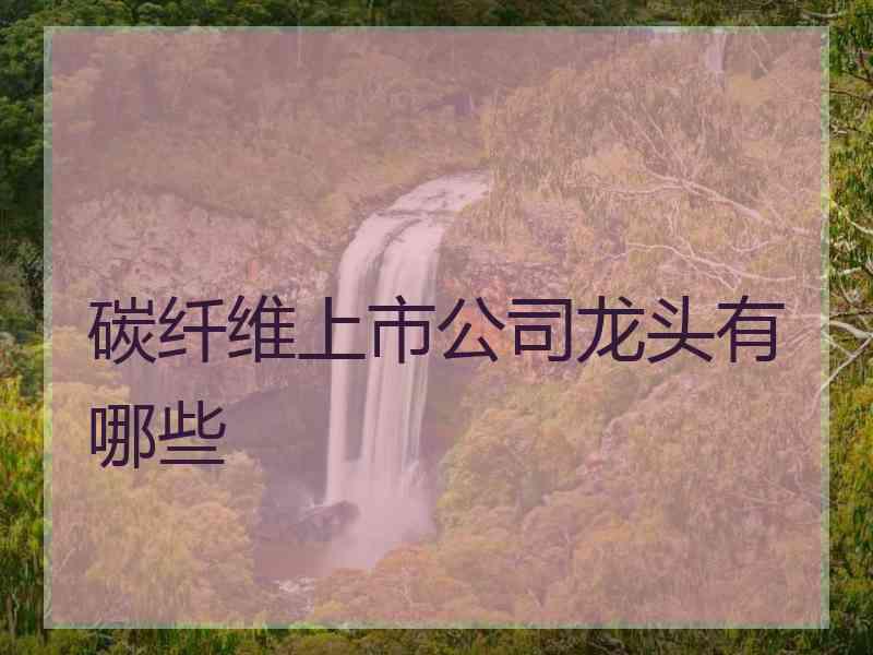 碳纤维上市公司龙头有哪些