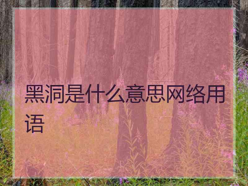 黑洞是什么意思网络用语