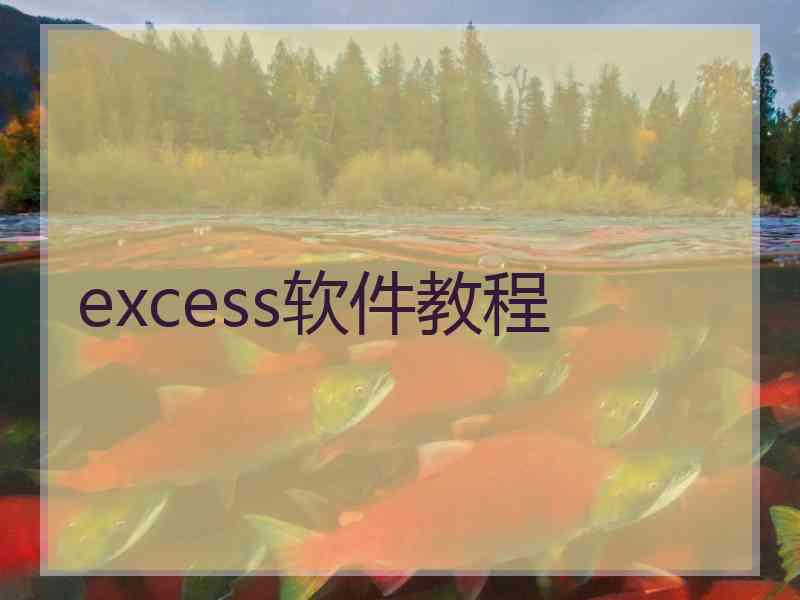 excess软件教程