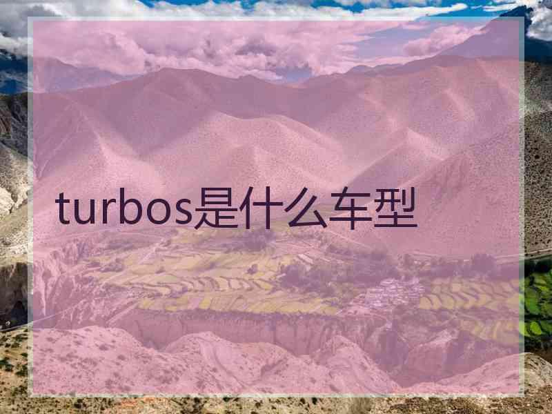 turbos是什么车型